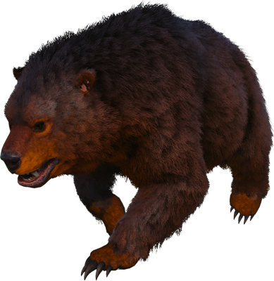 Ours Sinistre Image